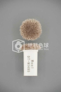 DT N1495