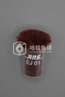 ARS EJ01