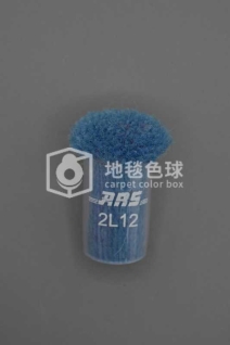 ARS 2L12