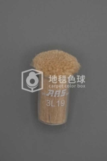 ARS 3L19