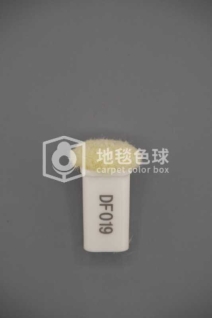 DF019