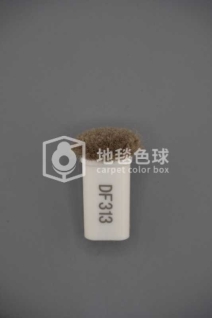DF313