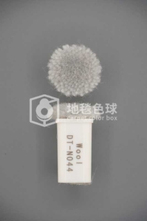 DT N044