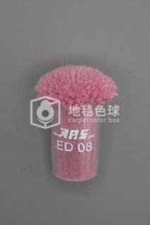 ARS ED08