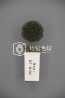 DT N196