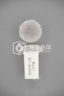 DT N1546