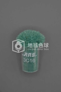 ARS 3C16