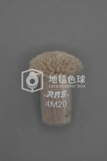 ARS 4M20