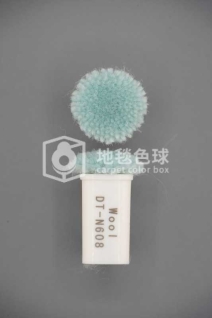 DT N608