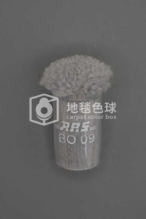 ARS BO09