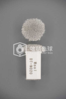 DT N020