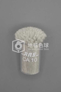 ARS CA10