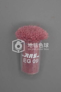 ARS EG09