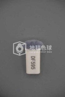 DF595