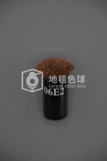 06E2