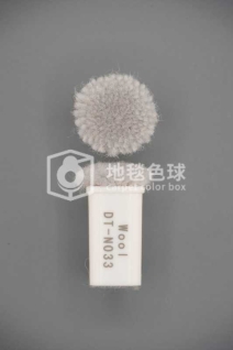 DT N033