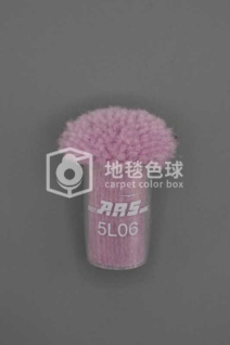ARS 5L06