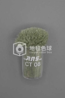 ARS CT08