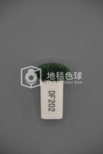 DF202