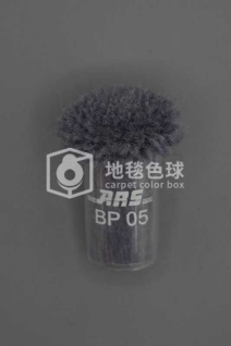 ARS BP05