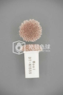 DT N1555