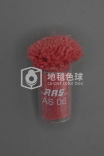 ARS AS06