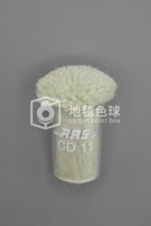ARS CD11