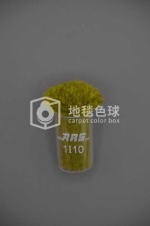 ARS 1I10