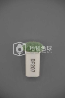 DF207