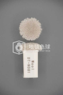 DT N081