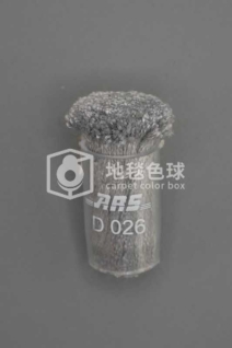 ARS D026