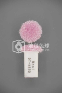 DT N850