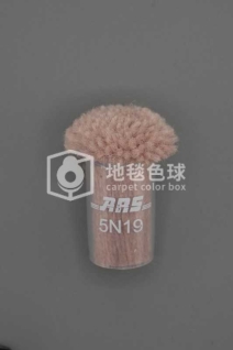 ARS 5N19