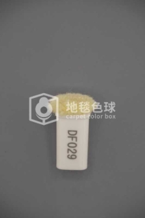 DF029