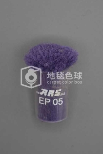 ARS EP05