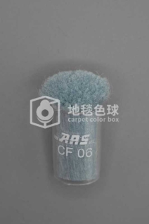 ARS CF06