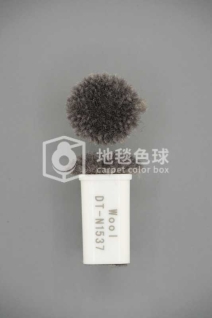 DT N1537