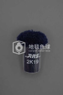 ARS 2K19