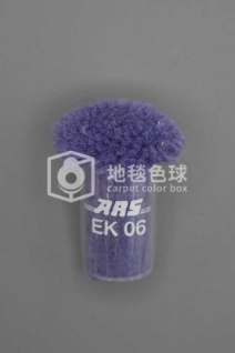 ARS EK06