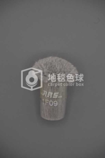 ARS 1F09