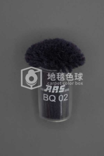 ARS BQ02