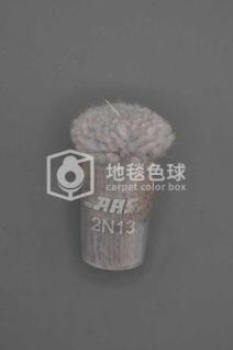 ARS 2N13