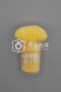 ARS DH09