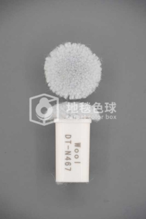 DT N467