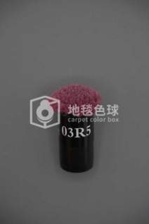 03R5