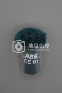 ARS CE01
