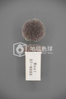 DT N088