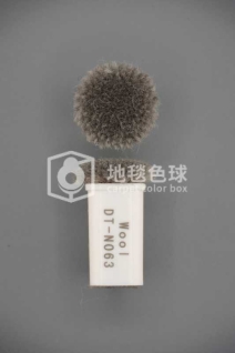 DT N063