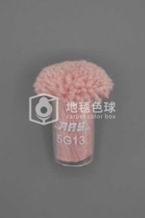 ARS 5G13