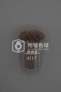 ARS 4I17